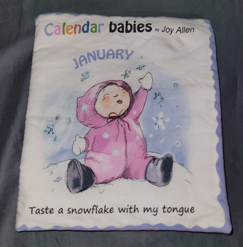 Calendar Babies Joy Allen Soft Cloth Baby Book Panel, Months Jan-Dec Multicolor