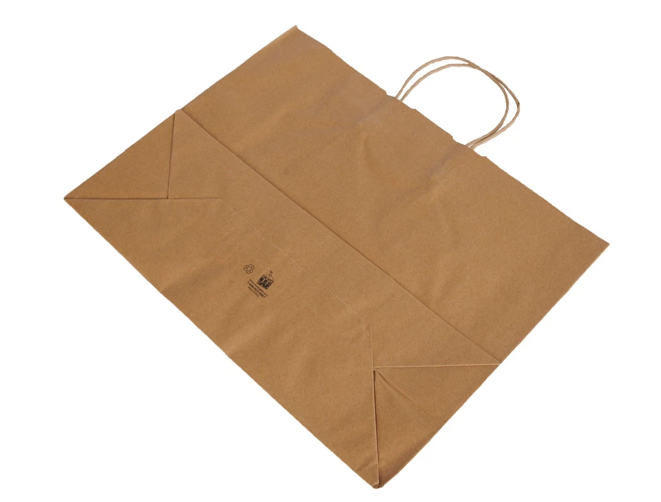 SSWBasics Borsa per la spesa in carta kraft marrone - (16”L x 6”P x 12 1/2”H) - Astuccio da 50 - Immagine 2 di 2