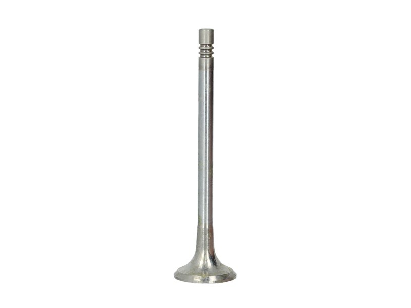 4x ✅Fits FRECCIA 6549/RCR Exhaust valve 6549/RCR Exhaust valve (24,4 ⭐UK Seller⭐
