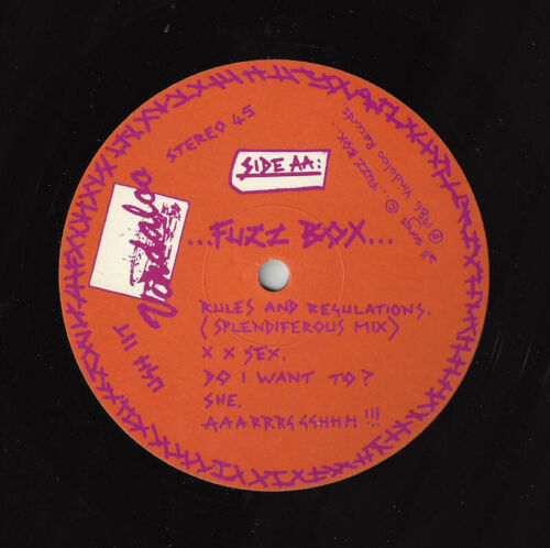 FUZZ BOX We've Got A Fuzz Box And We're Gonna Use It etched EP PUNK 1986 45RPM - Picture 3 of 4