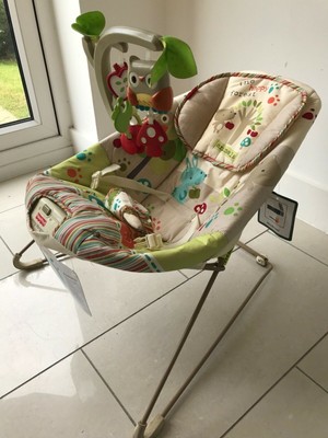 woodsy friends comfy time bouncer