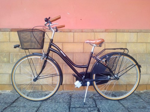 Bicicletta bici da passeggio donna Raeligh misura 26\