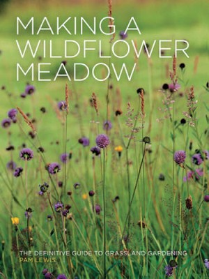 Making a Wildflower Meadow - Paperback By Lewis, Pam - GOOD