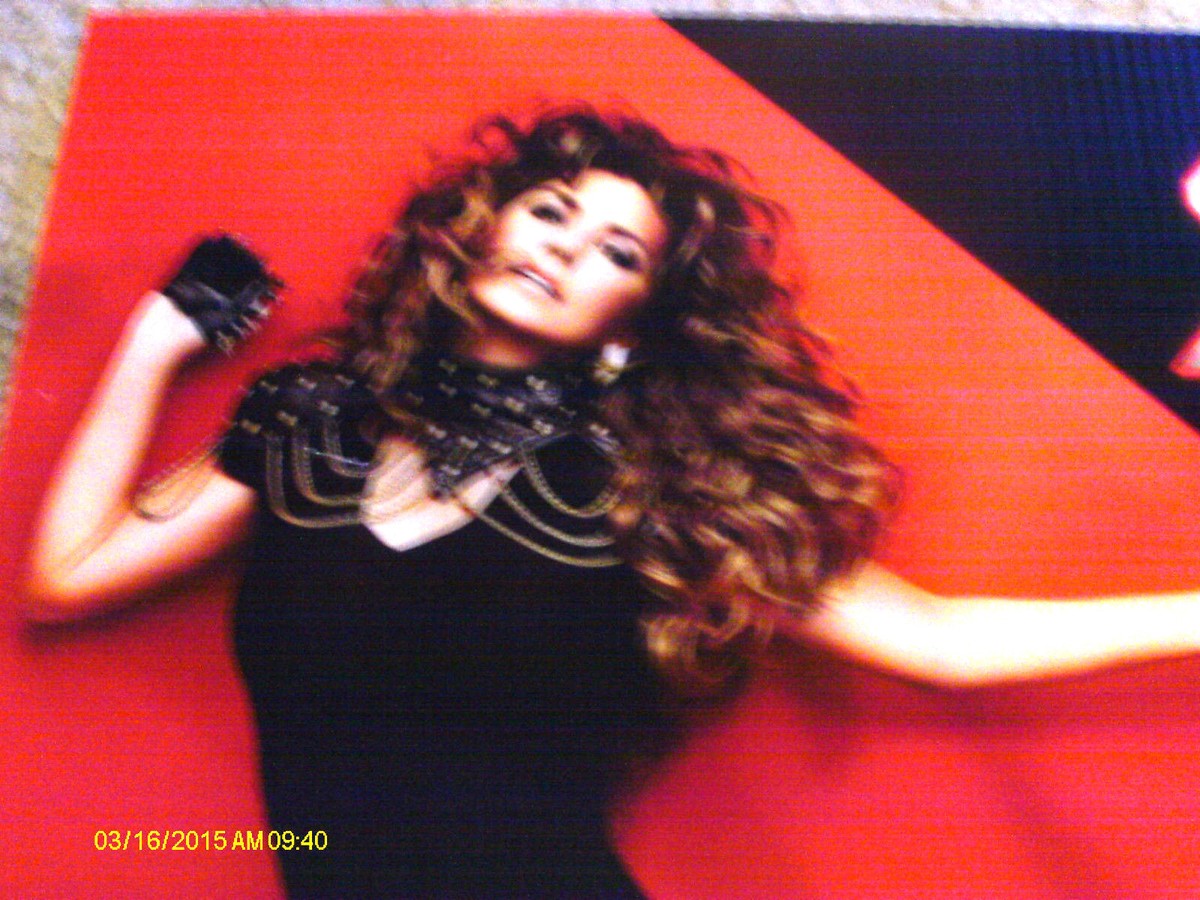 Shania Twain Rock This Country Tour Cork Backed Concert Poster | eBay