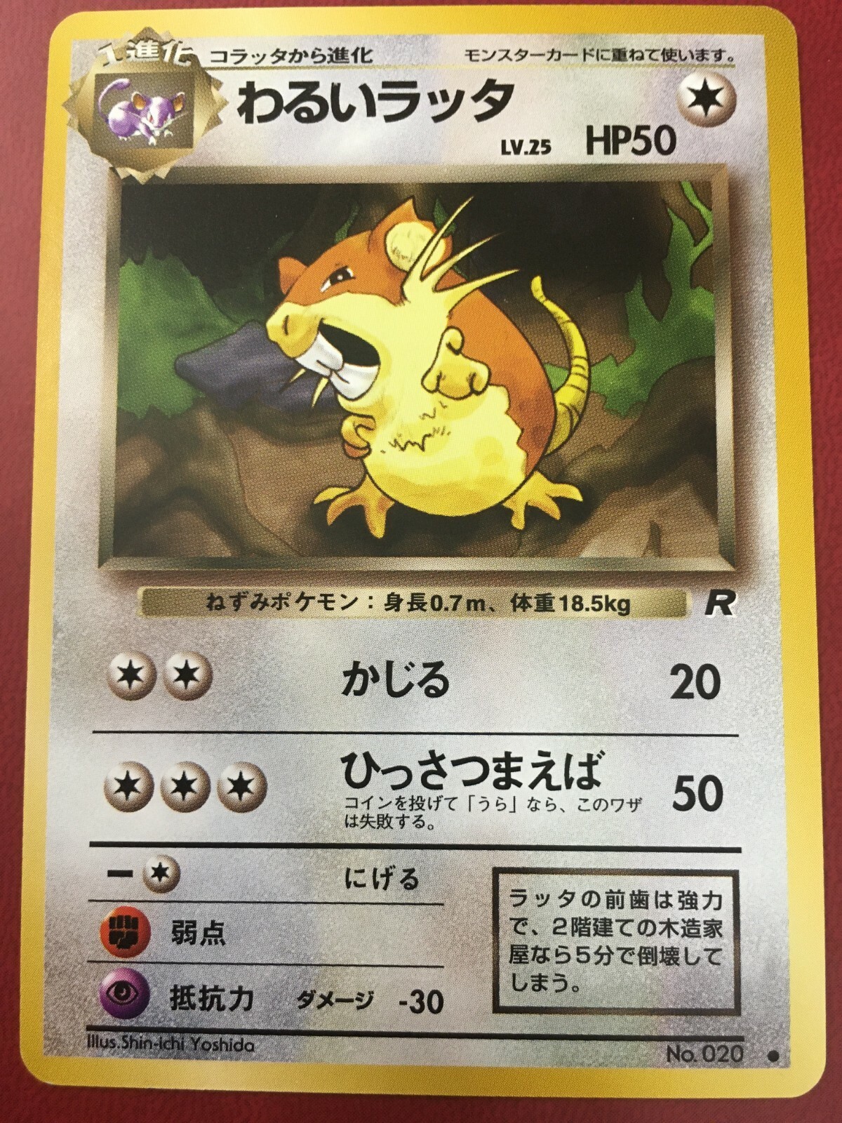 POKEMON JAPANESE DARK RATICATE #020 TEAM ROCKET COMMON NEAR MINT