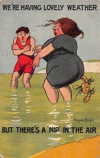POSTCARD  DONALD MCGILL  SEASIDE FAT LADY LOVELY WEATHER NIP IN THE AIR