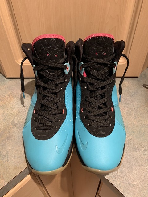 lebron south beach 7