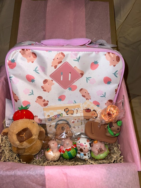 🍓💕  Kids Cute Kawaii Capybara Lunchbox Gift Box!  💕🍓