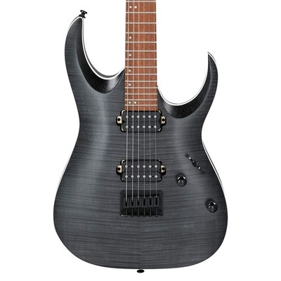 Ibanez RGA42FM Standard E/G, Jatoba Fingerboard, Transparent Gray Flat