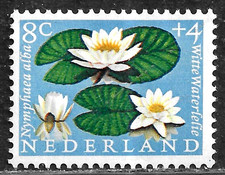 HICK GIRL-MINT NETHERLANDS STAMP   SC#B345  1960  FLOWER ISSUE   C779