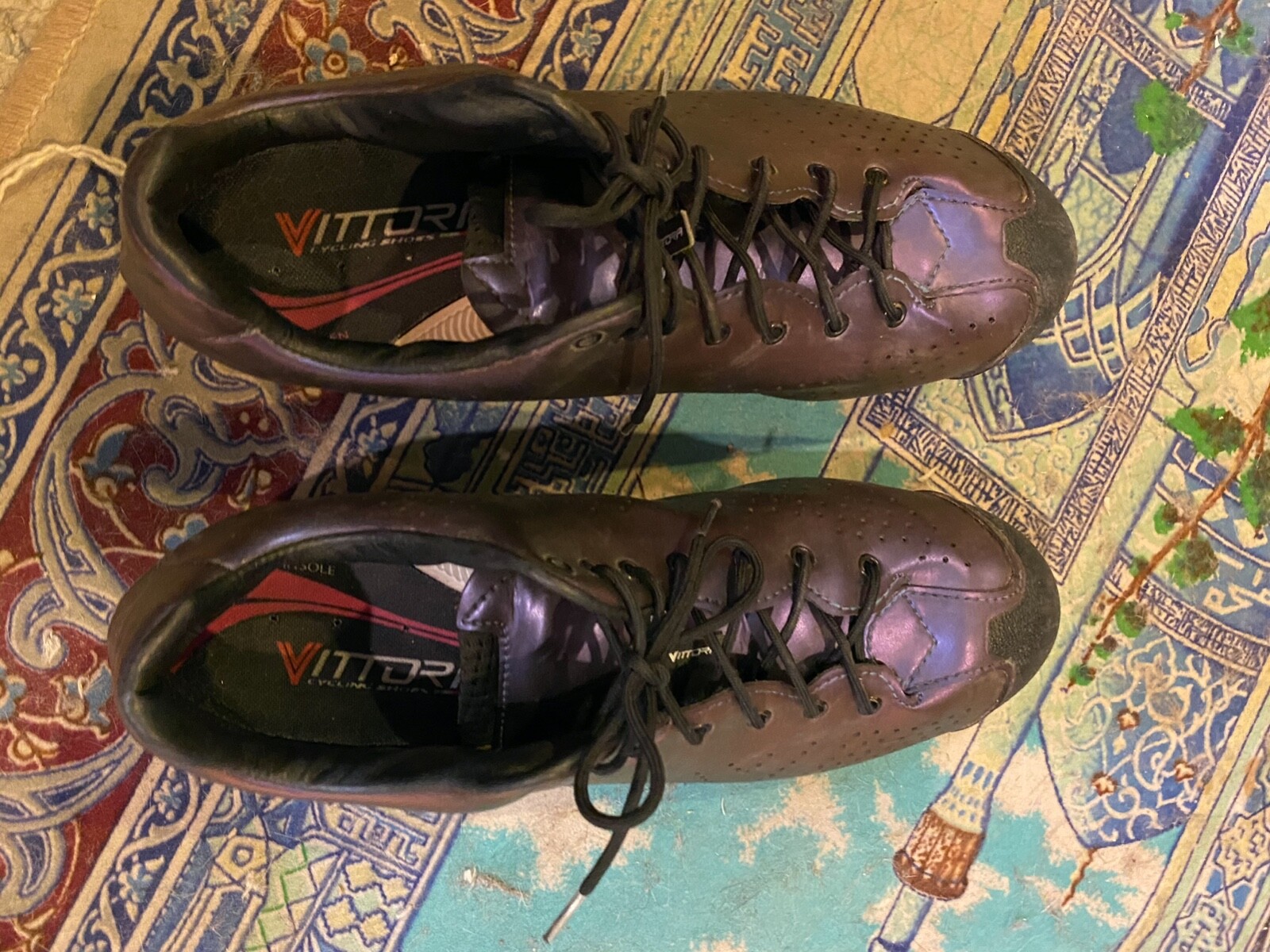 vittoria absolute mountain shoes