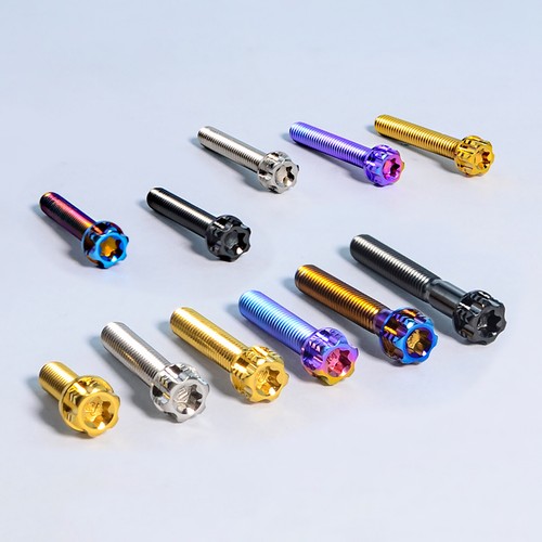 Tornillos de titanio TC4 Torx Drive M4x10/15/25 mm para modificación de motocicleta - Imagen 2 de 10