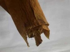 Dried Banana Leaves Pet Supplies  Fish, Aquarium Shrimp Cleaning Free shipping