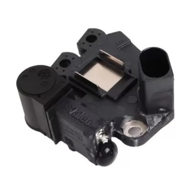 Valeo 599316 Built In Regulator