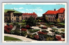 Minneapolis MN-Minnesota, University Of MN, Medicinal Garden Vintage Postcard