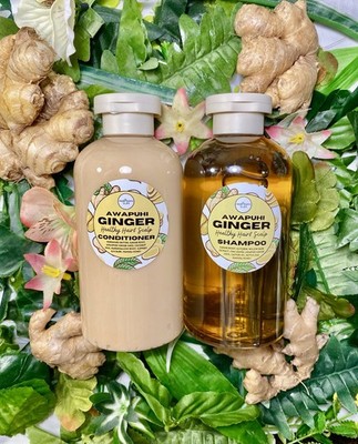 Awapuhi Ginger Natural Shampoo + Conditioner Set for Healthy Hair 14 ounces each