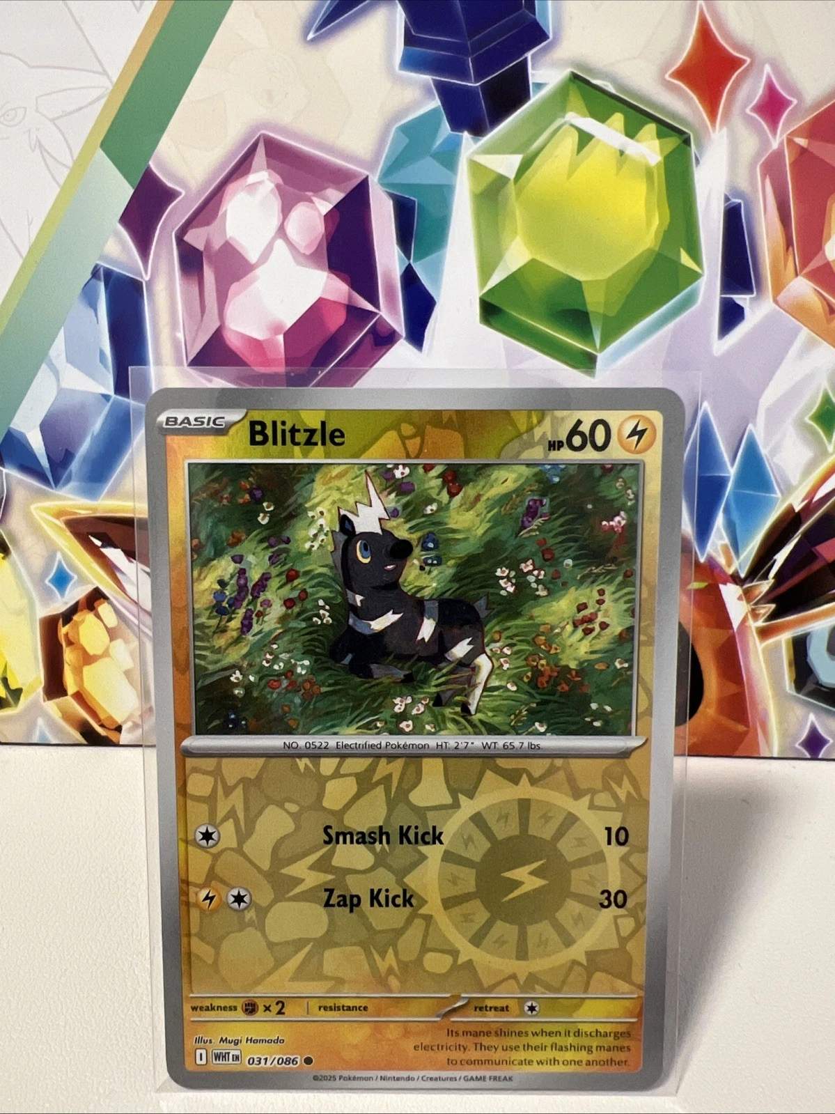 Blitzle 031/086 Common Reverse Holo - Pokemon TCG White Flare - NM