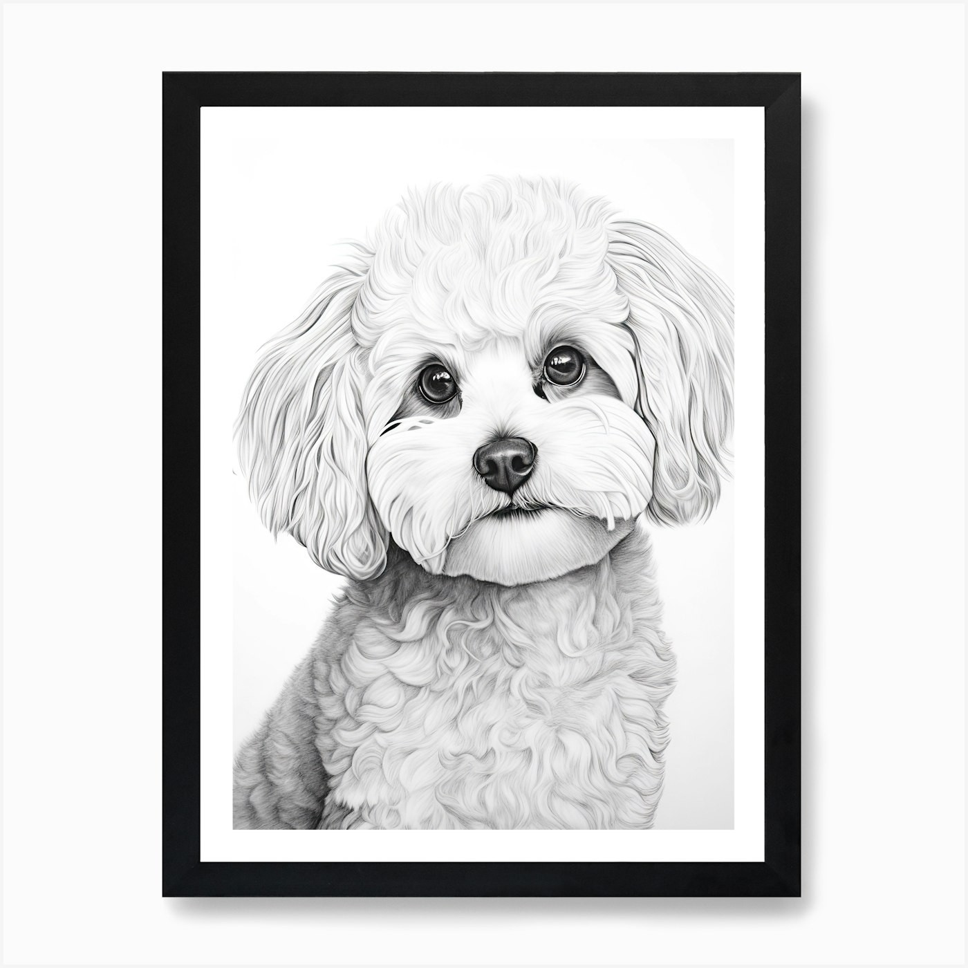 Bichon Frise Line Drawing Art Framed Canvas Wall Decor Print