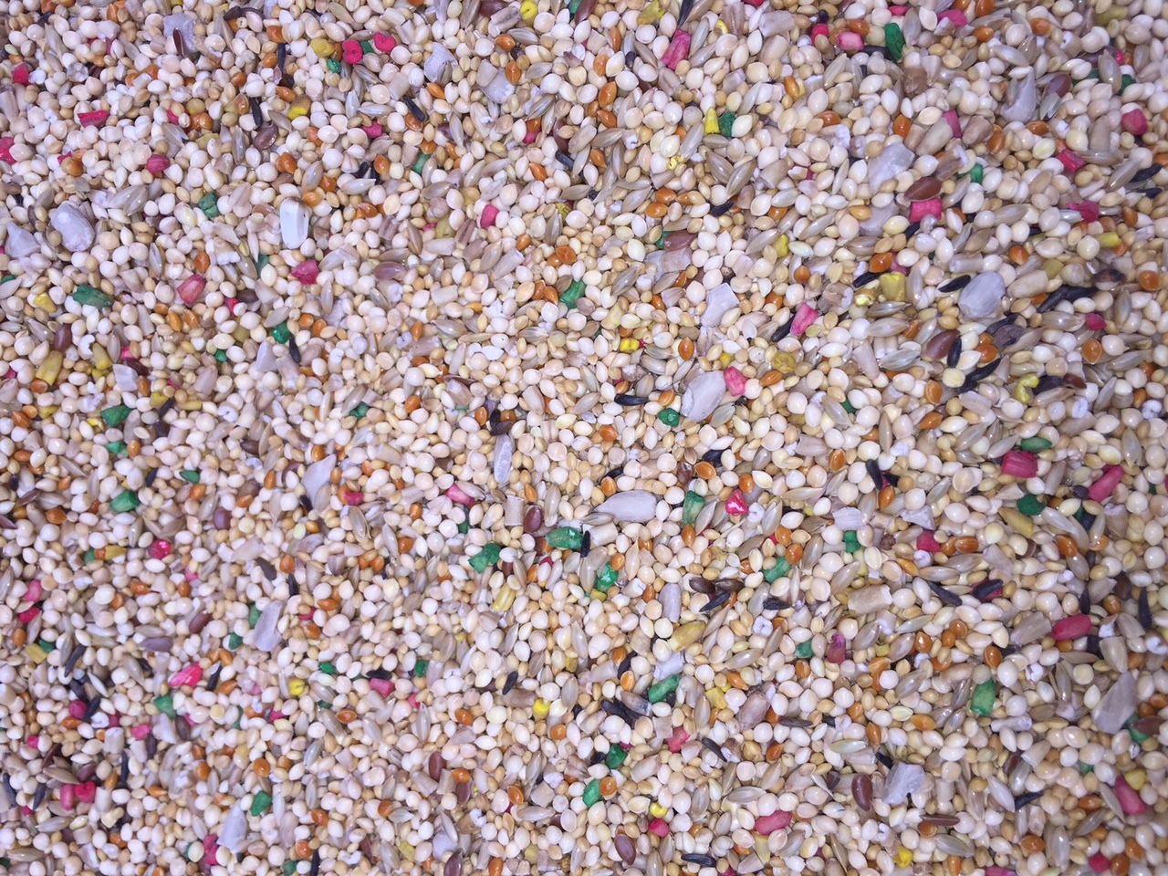 higgins Dynasty Vita Finch parakeet seed mix millet small bi