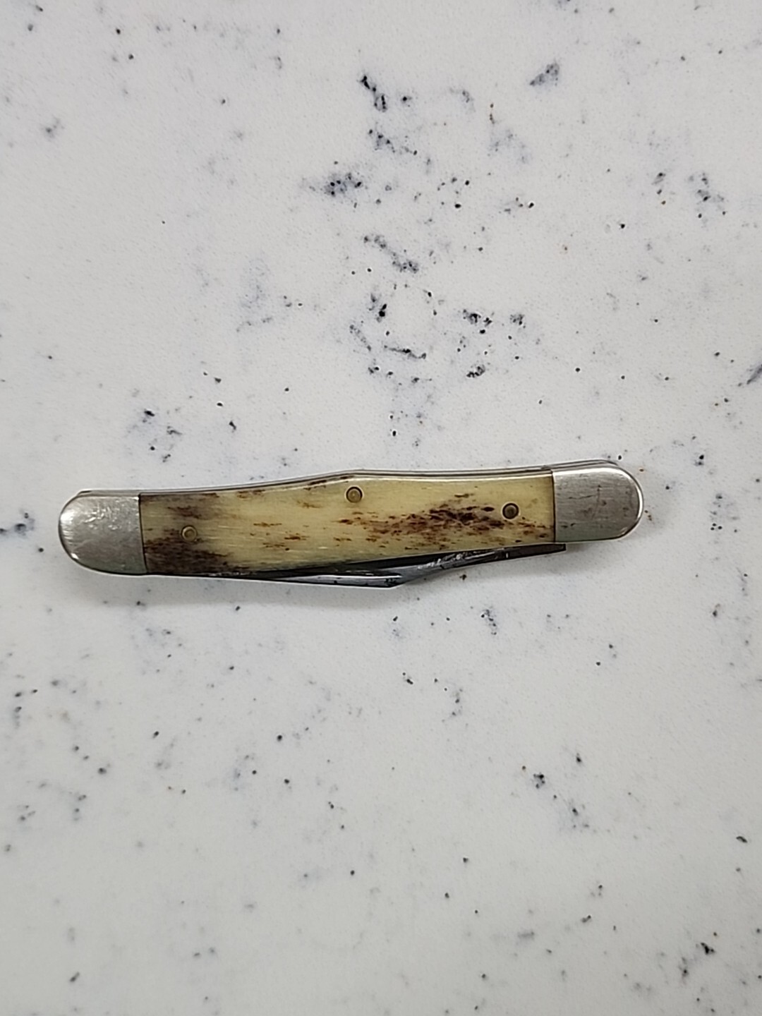 Vintage Case XX A6208 Half Whittler Appaloosa Bone Pocket Knife eBay