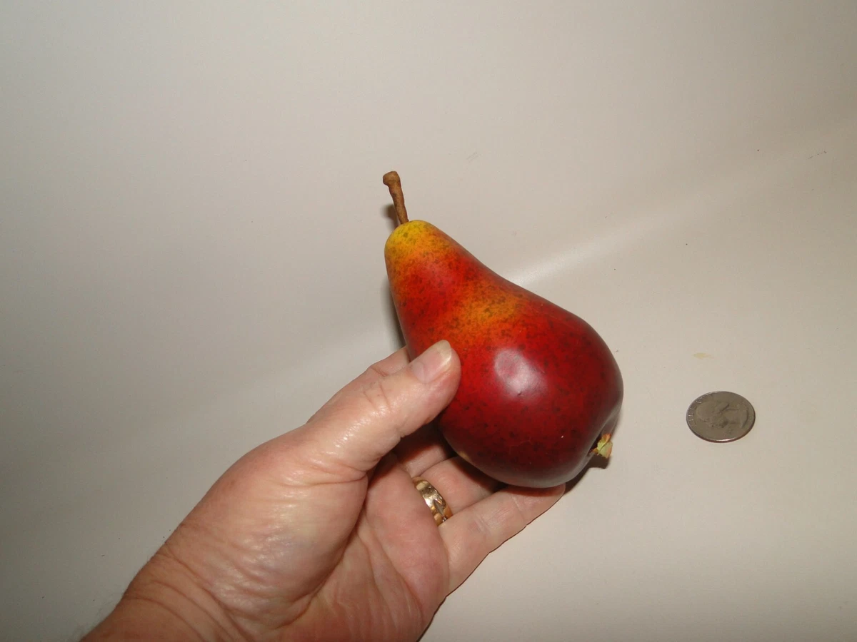 Replica Fruit 