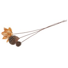 Getrocknete St&auml;ngel Trockene Blumen Dekoration K&uuml;nstliche Lotusblume