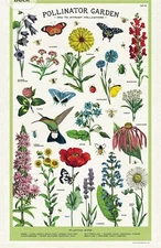 Cavallini Paper & Co Vintage Floral Cotton Fabric Pollinator Garden Tea Towel
