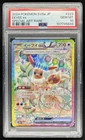 2024 Pokemon Terastal Fest JP Eevee ex Special Art Rare #223/187 PSA 10