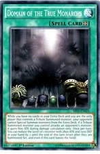 Domain of the True Monarchs - SR01-EN024 - Common - 1st Edition - Lightly Played