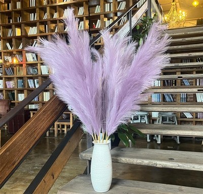 Pampas Grass Decor Tall,Long Pampas, Large Pompas Floral, Elegant Feather Flo...