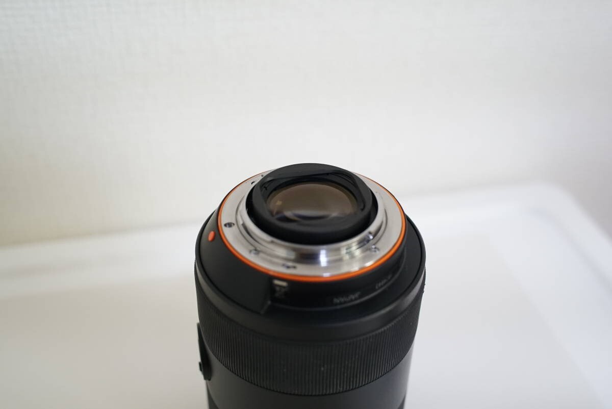 Sony Vario-Sonnar T* 24-70mm F2.8 ZA SSM SAL2470Z Working