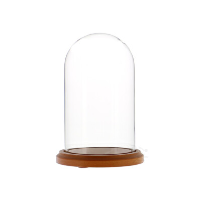 Glass Display Dome Cloche 4'' x 7'' with Walnut Base