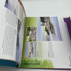 Bild 5 von 8