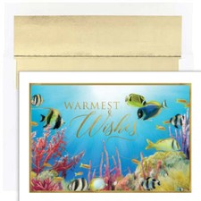 Warmest Wishes 18-Count Christmas Cards, Warmest Wishes Fishes, blue