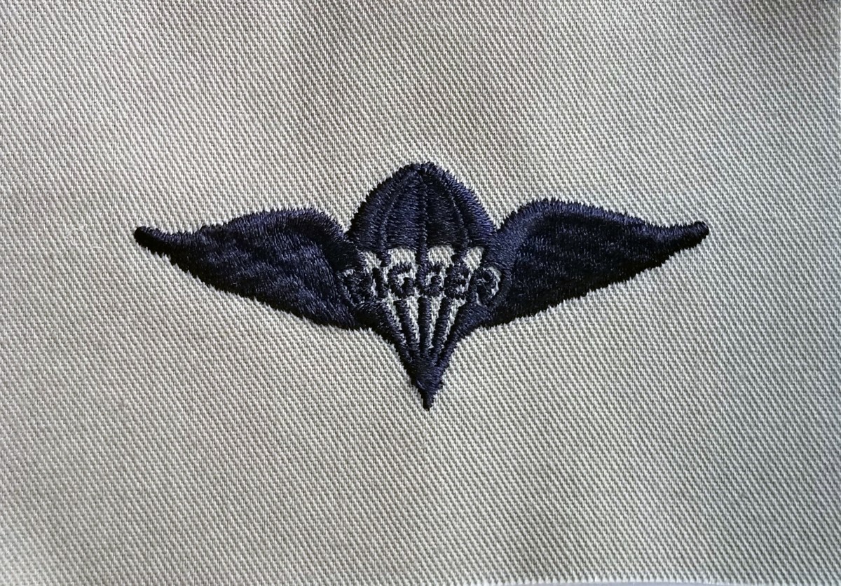 Air Force Parachute Rigger Badge Online | emergencydentistry.com