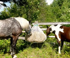 Mini SLOW BALE BUDDY petite balle carrée alimentation lente filet à foin GARANTIE 1 AN