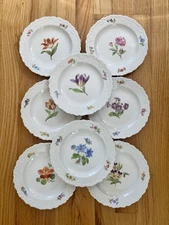 Meissen Hand Painted Floral Gold Rim Dessert/Salad Plates Set Of 8 Rococo Shell