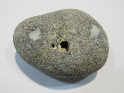 S198 lauter Klapperstein Flint + Schwamm St. Valery Normandie 7x5cm 162g rar