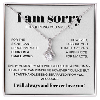 I am sorry apology Ribbon pendant Necklace forgiveness Heartfelt gift for her