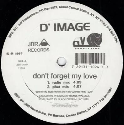 D Image Dont Forget My Love / Always Lovin U. Vinyl Single 12inch Jbr Recor