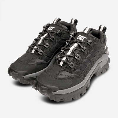 cat intruder repowered