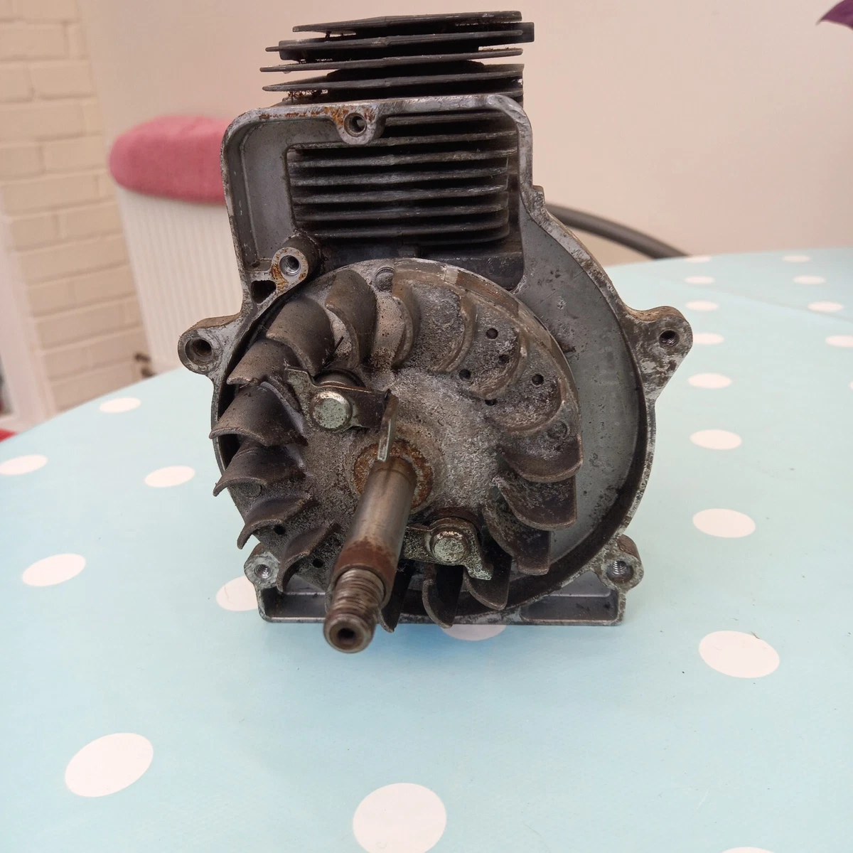 Ryobi shop strimmer engine