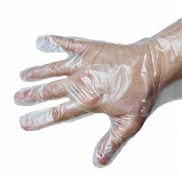 Disposable Gloves- Clear Plastic Large Disposable Cooking, Cleaning, Kitchen Foo on sale Disposable Gloves- Clear Plastic Large Disposable Cooking, Cleaning, Kitchen Foo on sale