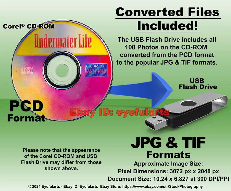 Underwater Life Corel Royalty-Free Stock Photo CD-ROM Disk & USB - Image 3 of 4