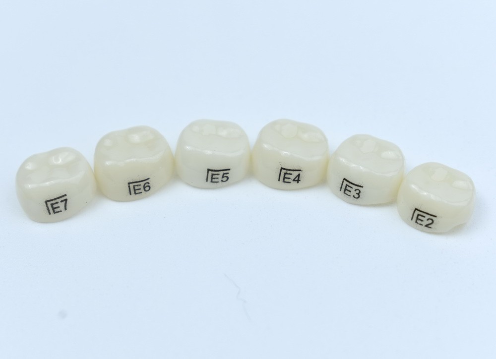 Zirconia Crowns Dental Kids Primary Molar Crowns Pediatric crown
