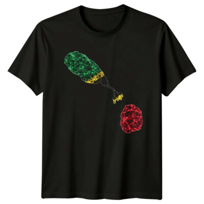 St. Kitts und Nevis Karibik Reise Herren T-Shirt Damen Tee Grafik Oberteil