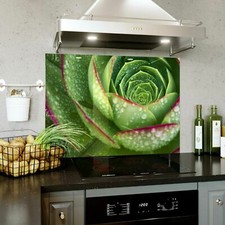 Glass Splashback Kitchen Tile Cooker Panel ANY SIZE Nature Plant Photo Zoom