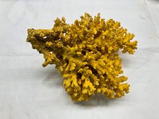 Glass Coral for Aquarium or Decoration, Yellow