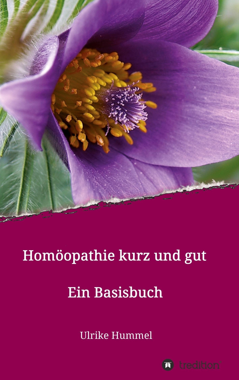 Thumbnail - Homöopathie Kurz Und Gut | Ein Basisbuch | Ulrike Hummel | Deutsch |