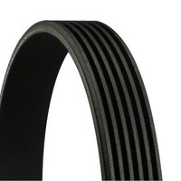 Continental Ctam 6PK900 Keilrippenriemen